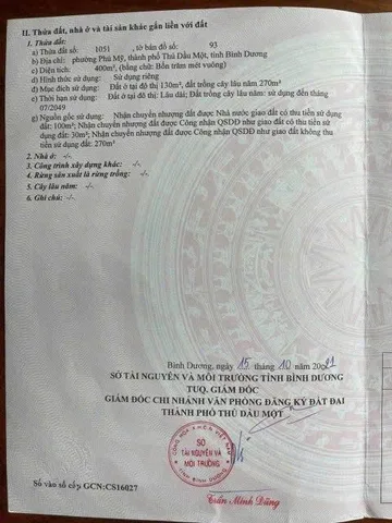 Bất động sản tại Bình Dương - ảnh 1