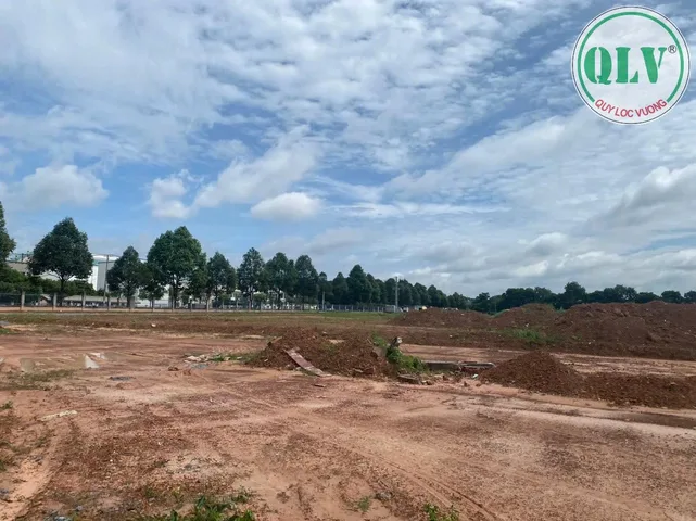 Bất động sản tại Bình Dương - ảnh 1