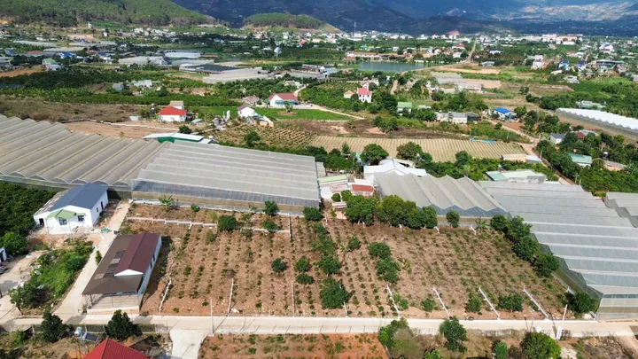 Bất động sản tại Lâm Đồng - ảnh 1