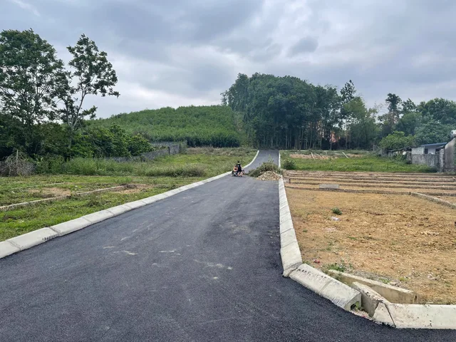 Bất động sản tại Phú Thọ - ảnh 1