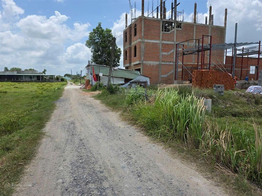 Bất động sản tại Long An - ảnh 1