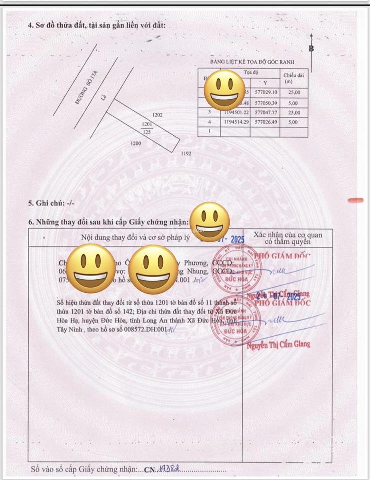 Bất động sản tại Long An - ảnh 1