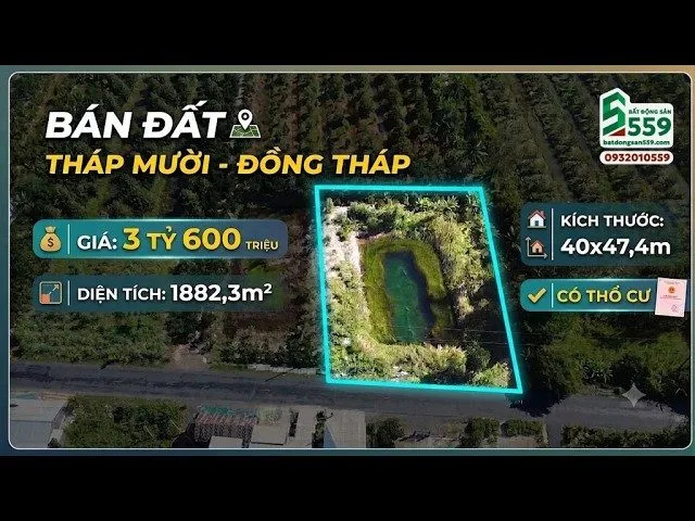 Bất động sản tại Đồng Tháp - ảnh 1