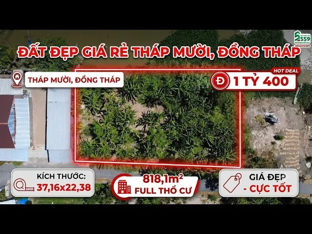 Bất động sản tại Đồng Tháp - ảnh 1