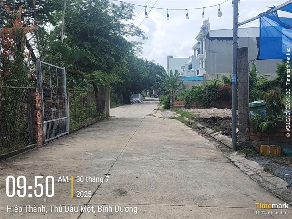Bất động sản tại Bình Dương - ảnh 1