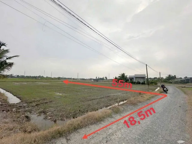 Bất động sản tại Long An - ảnh 1