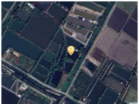 Bất động sản tại TP. Hồ Chí Minh - ảnh 1