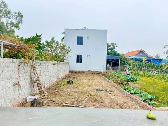 Bất động sản tại Hải Phòng - ảnh 1