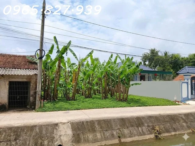 Bất động sản tại Thanh Hóa - ảnh 1