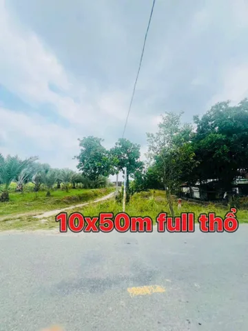 Bất động sản tại Long An - ảnh 1