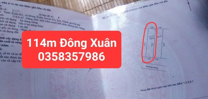 Bất động sản tại Hà Nội - ảnh 1