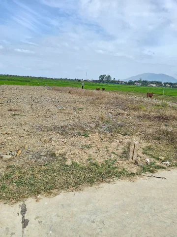 Bất động sản tại Khánh Hòa - ảnh 1
