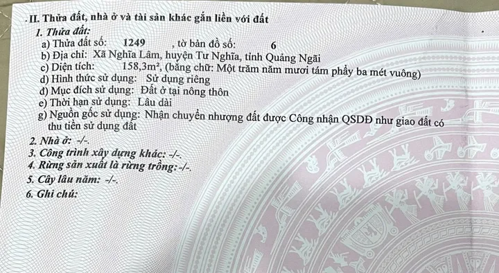 Bất động sản tại Quảng Ngãi - ảnh 1
