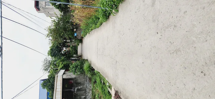 Bất động sản tại Hải Phòng - ảnh 1