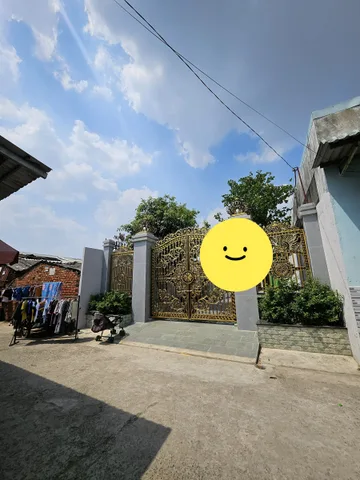 Bất động sản tại Bình Dương - ảnh 1