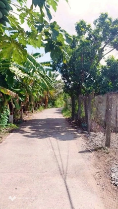 Bất động sản tại Bến Tre - ảnh 1