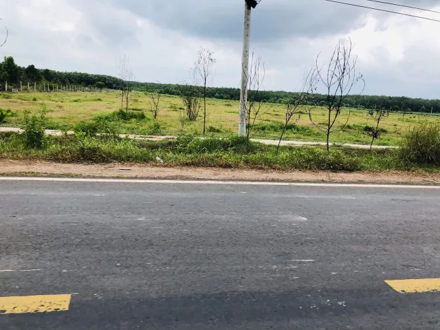 Bất động sản tại Đồng Nai - ảnh 1