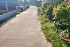 Bất động sản tại Long An - ảnh 1