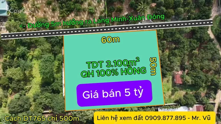 Bất động sản tại Đồng Nai - ảnh 1
