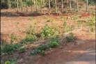 Bất động sản tại Đắk Lắk - ảnh 1