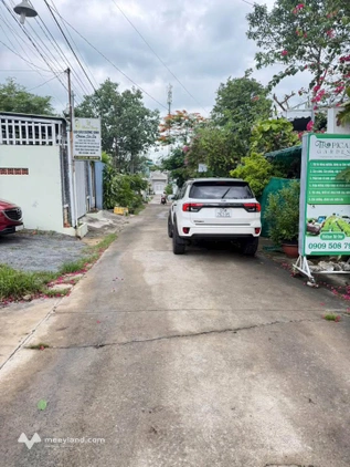 Bất động sản tại Bình Dương - ảnh 1