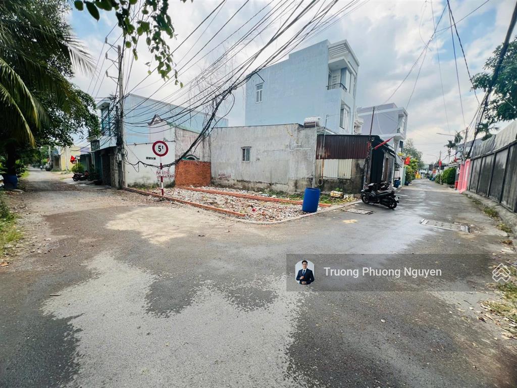 Bất động sản tại Bình Dương - ảnh 1