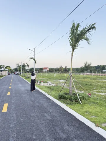 Bất động sản tại Bình Dương - ảnh 1