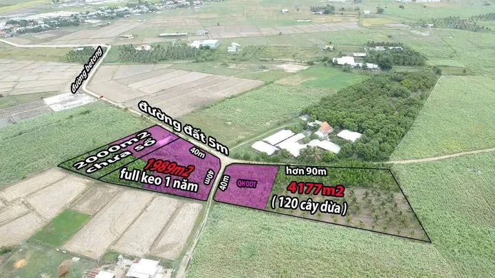 Bất động sản tại Khánh Hòa - ảnh 1