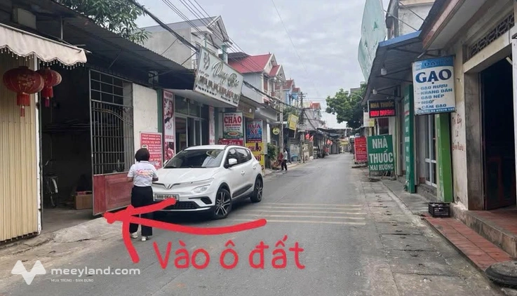 Bất động sản tại Vĩnh Phúc - ảnh 1