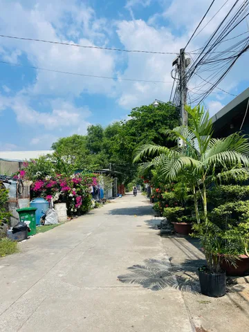 Bất động sản tại Đồng Nai - ảnh 4
