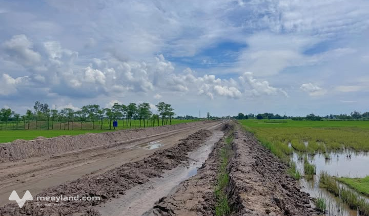 Bất động sản tại Tiền Giang - ảnh 1