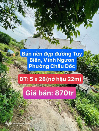 Bất động sản tại An Giang - ảnh 1