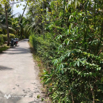 Bất động sản tại Bến Tre - ảnh 1