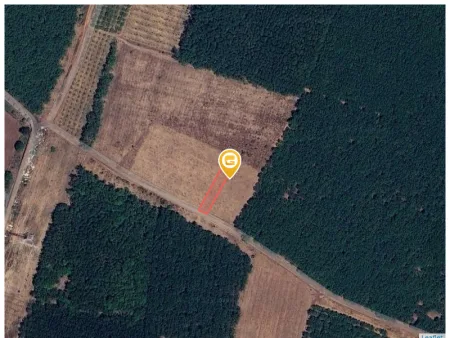 Bất động sản tại Bình Phước - ảnh 1