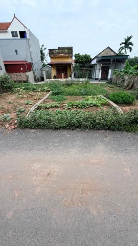 Bất động sản tại Hưng Yên - ảnh 1