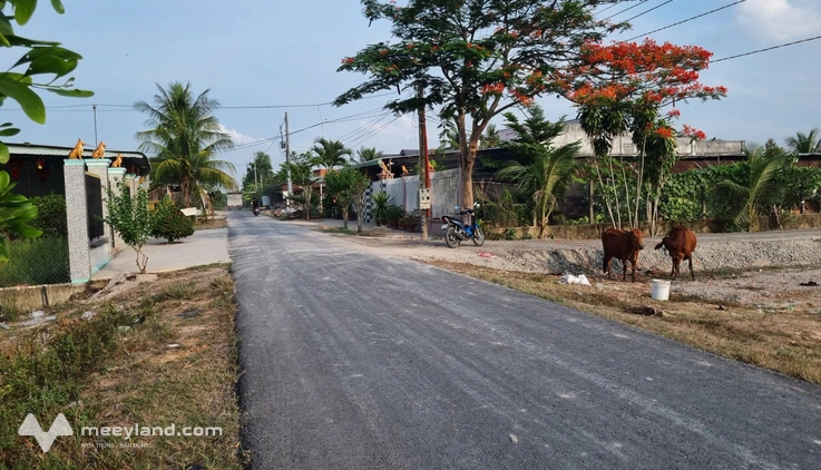 Bất động sản tại Tây Ninh - ảnh 1