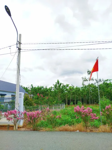 Bất động sản tại Bình Dương - ảnh 1