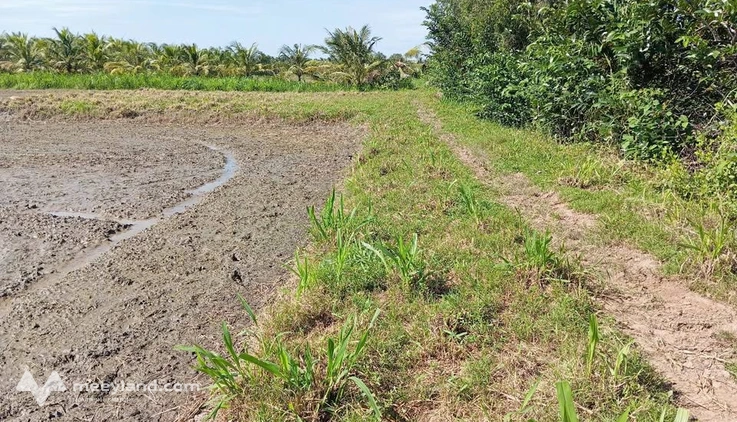 Bất động sản tại Trà Vinh - ảnh 1