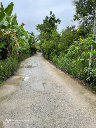 Bất động sản tại Cần Thơ - ảnh 1