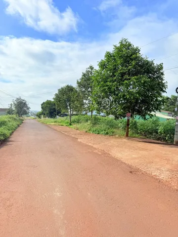Bất động sản tại Đắk Lắk - ảnh 1