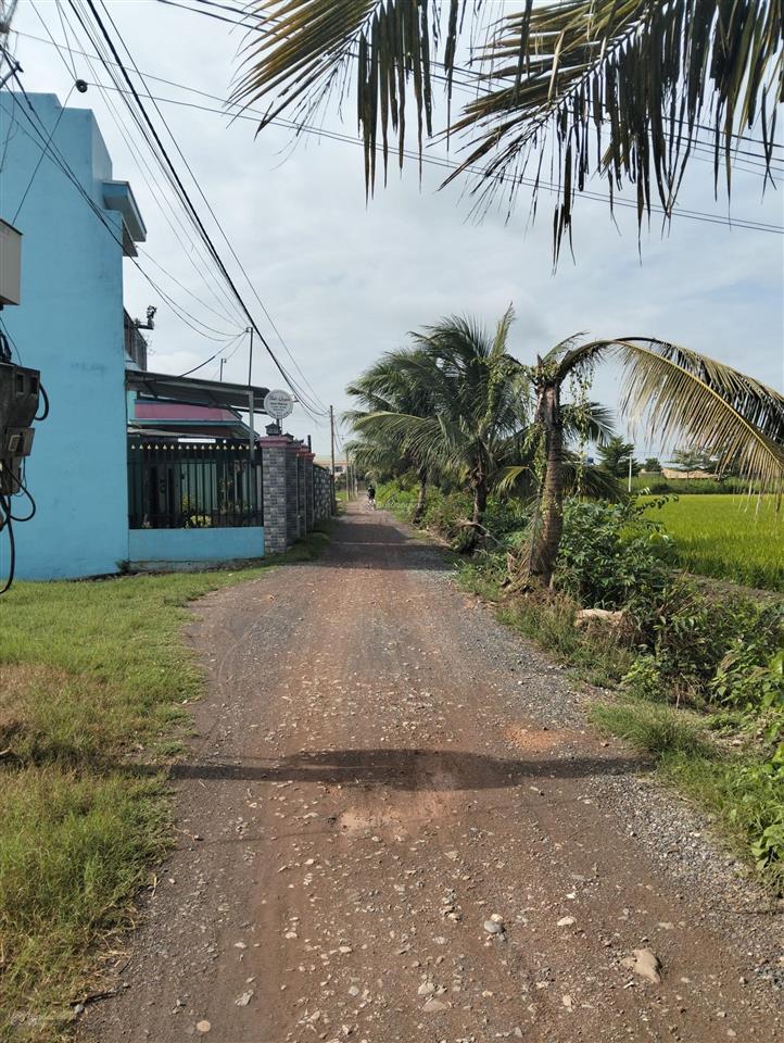 Bất động sản tại Long An - ảnh 1