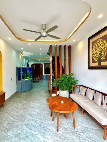 Bất động sản tại Đà Nẵng - ảnh 1