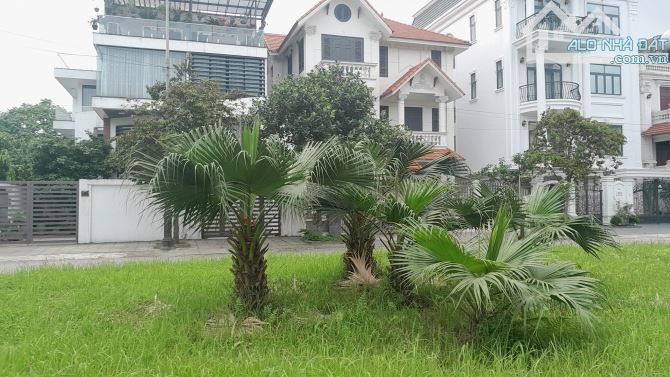 Bất động sản tại Hải Phòng - ảnh 1