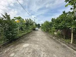 Bất động sản tại Cần Thơ - ảnh 1