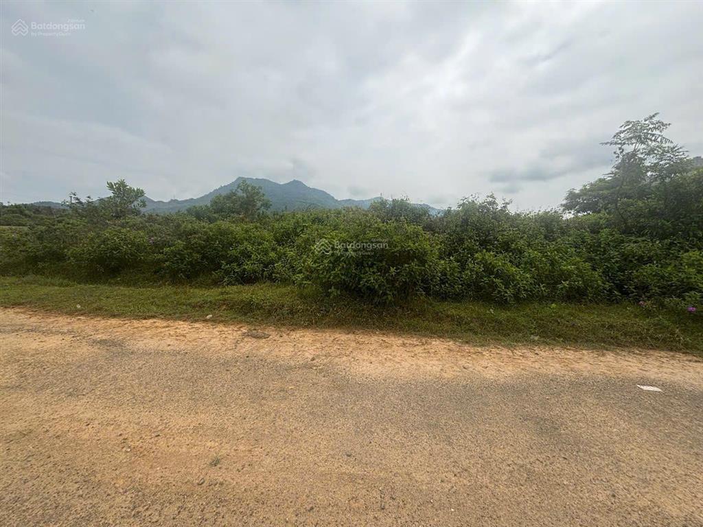 Bất động sản tại Đà Nẵng - ảnh 1