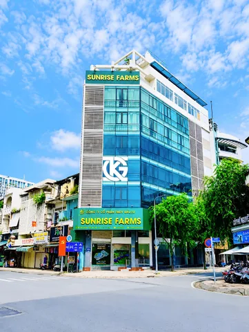 Bất động sản tại TP. Hồ Chí Minh - ảnh 1