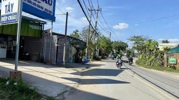Bất động sản tại Bình Dương - ảnh 1
