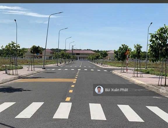 Bất động sản tại Bình Dương - ảnh 1