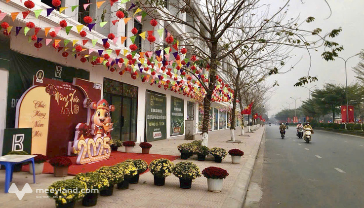 Bất động sản tại Bắc Ninh - ảnh 1
