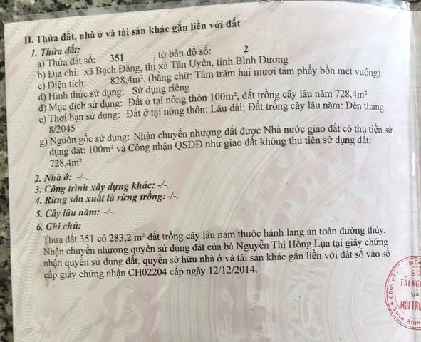 Bất động sản tại Bình Dương - ảnh 1